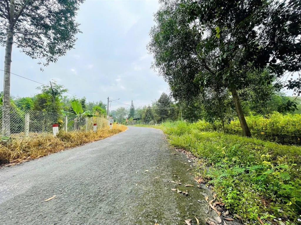 Minh thạnh  tp hcm mặt tiền nhựa trung tâm 1000m2 200m2 thổ cư 1tỷ350