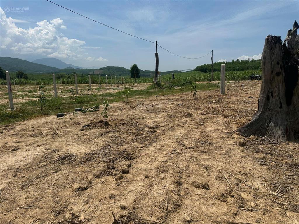 Bán lô đất khánh nam khánh vĩnh, 510m2, ngang 11m, giá tốt