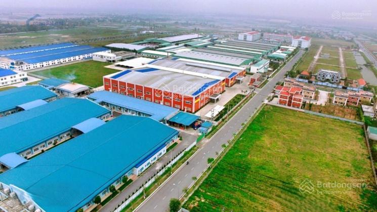 Cụm kim thái 5000m2, 8000m2, 10.000m2, 15.000m2, 5ha cắt theo nhu cầu. nam định cũ.