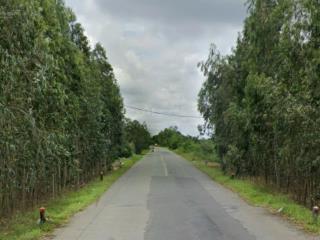 Bán đất 819, tân lập, mộc hóa, long an, 3,5 tỷ, 2500m2