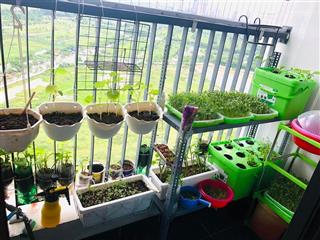 Bán căn 2 ngủ nhỏ giá chỉ hơn 3 tỷ nội thất đầy đủ phù hợp gia đình trẻ