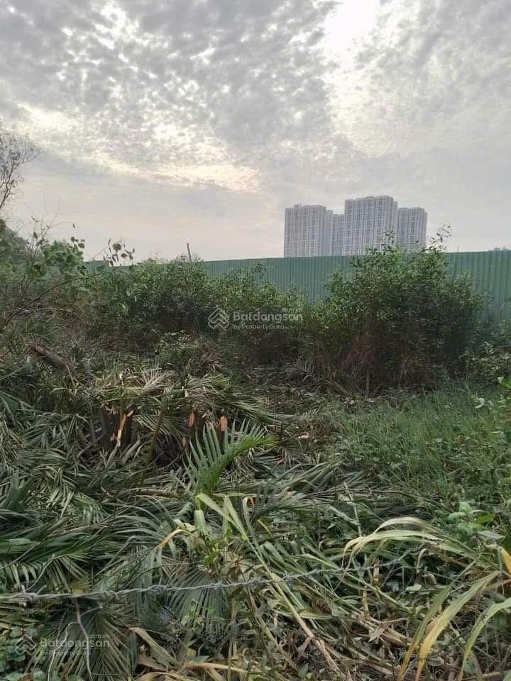 Bán đất nhỉnh 15 tỷ, 938 m2, sau chợ phú thuận, quận 7