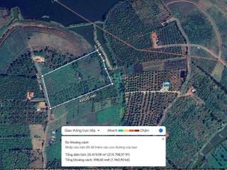 Bán gấp đất view đỉnh ở dakbuso, tuy đức, dak nông.