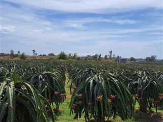 Siêu hót chỉ 170tr/sào bán đất ngộp ngay đường dân sinh cao tốc, đường bao quanh đất. 0985 550 ***