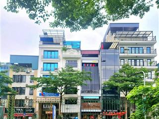 Bán nhà mặt phố nguyễn đình chiểu phường lê đại hành quận hai bà trưng
