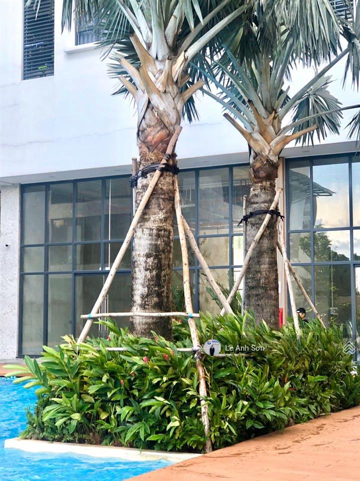 Căn hộ cao cấp dự án cskyview, phường thủ dầu một, tp hcm dt 79m2   0985 901 ***