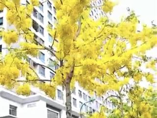 Bán gấp ch 3pn, 92m2, 7 tỷ ở ia20 ciputra, bắc từ liêm, hà nội