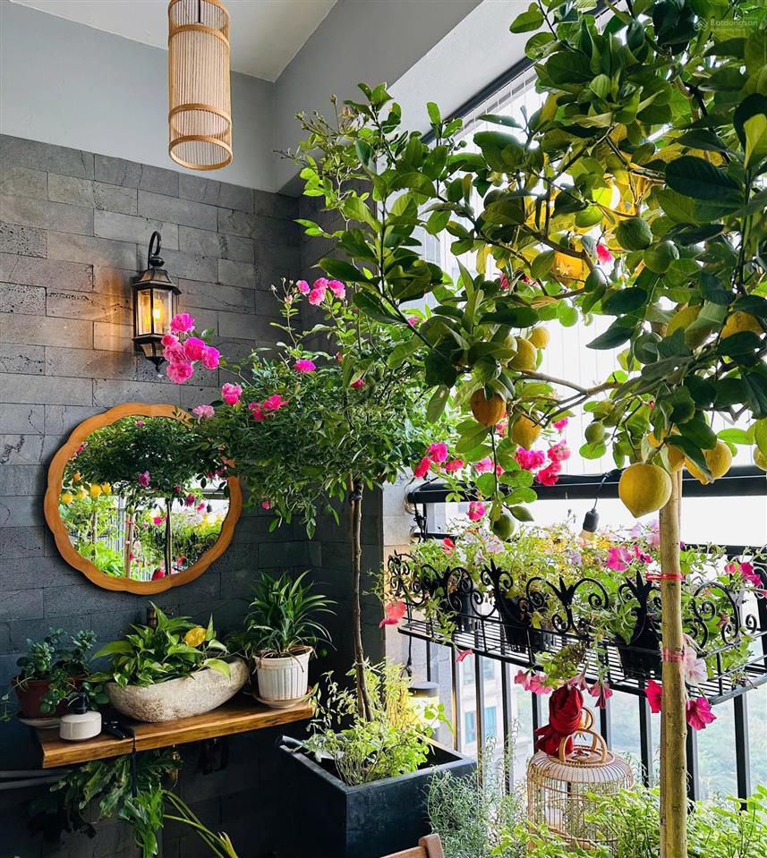 Cho thuê cc tại kosmo tây hồ, giá thỏa thuận, 85m2, 2pn, 2wc, tiện nghi đầy đủ, hot!