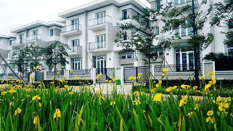 Chủ nhà cần bán gấp biệt thự 140m2 tại khu k ciputra, sổ đỏ giao dịch ngay