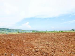 Cần bán hơn 1 hecta bám 140m mặt đường, quy hoạch thổ cư