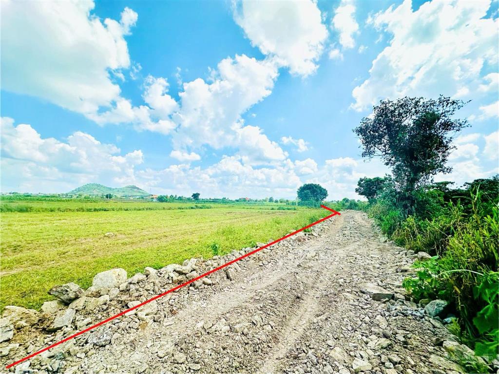 Bán gấp 1 hecta  quỹ đất đã hết với mặt tiền 140m ( quy hoạch đất ở 4000m2 )