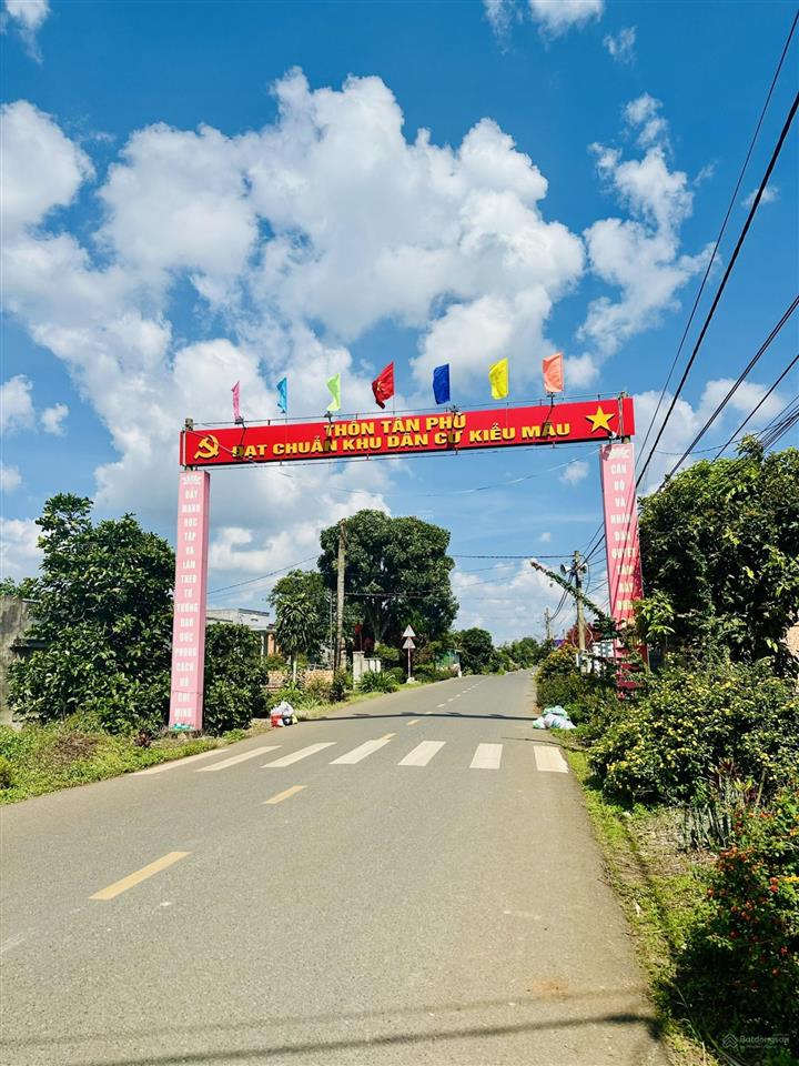 Bán gấp 1 hecta  quỹ đất đã hết với mặt tiền 140m ( quy hoạch đất ở 4000m2 )