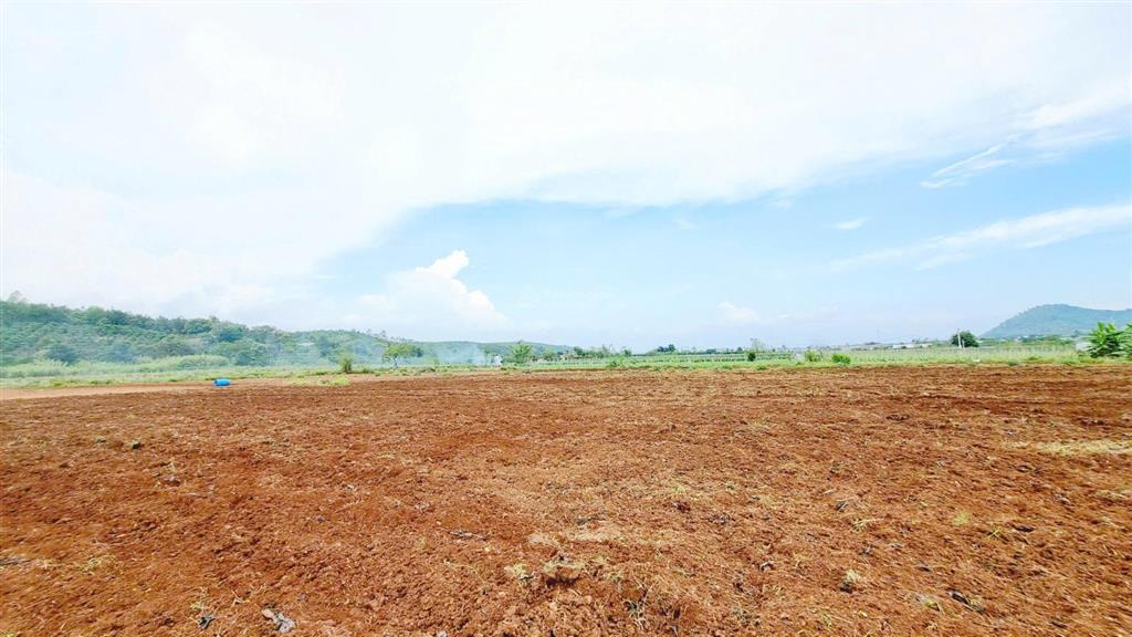 Bán gấp 1 hecta  quỹ đất đã hết với mặt tiền 140m ( quy hoạch đất ở 4000m2 )