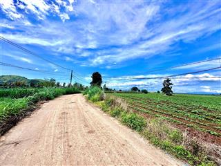 Chỉ 4.6 tỷ sở hữu ngay gần 1 hecta tại tân hội  đất đỏ bằng như sân bay