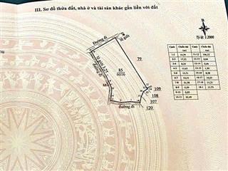 Bán nhanh 6.000m2 với 150m mặt đường tại xã n'thonha cũ