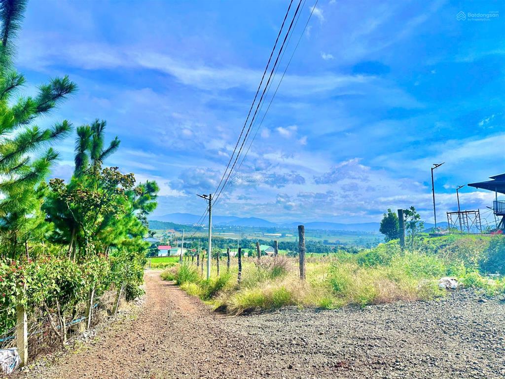 View đỉnh  thích hợp nghĩ dưỡng tại tân hội với 700m2  nhìn toàn cảnh tt liên nghĩa