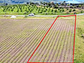 Bán nhanh mảnh đất đường nhựa gần 1.2 xào sẵn thổ cư giá chỉ nhỉnh 1 tỷ