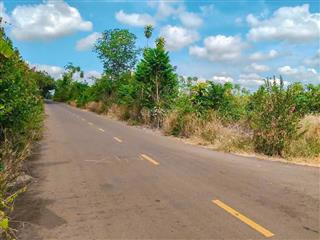 Nhà vườn 3 mặt tiền đường nhựa, sẵn thổ cư, vườn bơ cực đẹp, thuộc khu dân cư trung tâm xã tân lâm