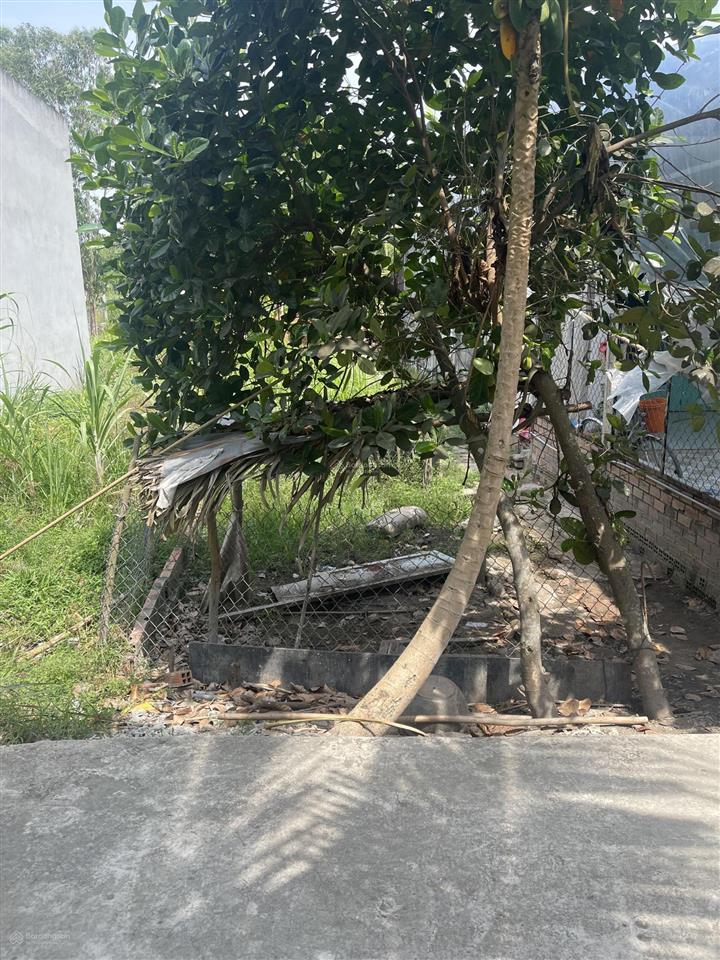 Bán đất ấp 2 hựu thạnh đối diện e city tân đức giá rẻ, sổ hồng 750 triệu