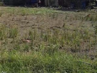 Cần bán đất nhơn hoà 2 đức hoà thượng sau uỷ ban, dân đông, sổ hồng, 680 triệu/ nền.