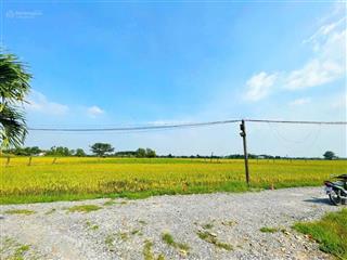 Bán đất sau xã đức hoà thượng giá rẻ, dân đông, sổ hồng 550 triệu nền.