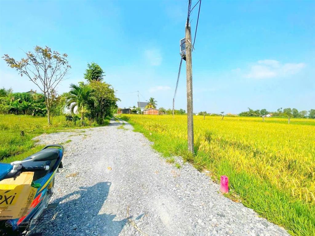 Bán đất sau xã đức hoà thượng giá rẻ, dân đông, sổ hồng 550 triệu nền.