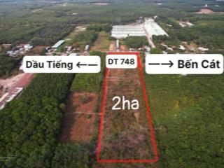 Cần bán 2 ha đất tại an lập dầu tiếng bình dương
