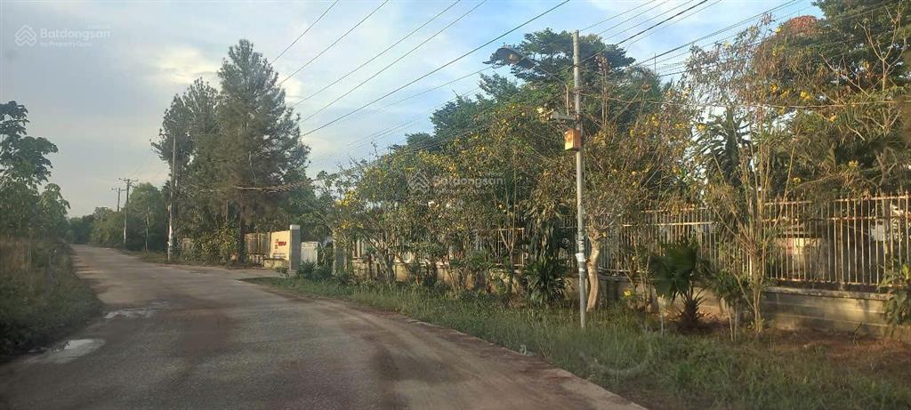 Bán đất 9420m2 quy hoạch đất skc lộc an long thành giá nhà đầu tư
