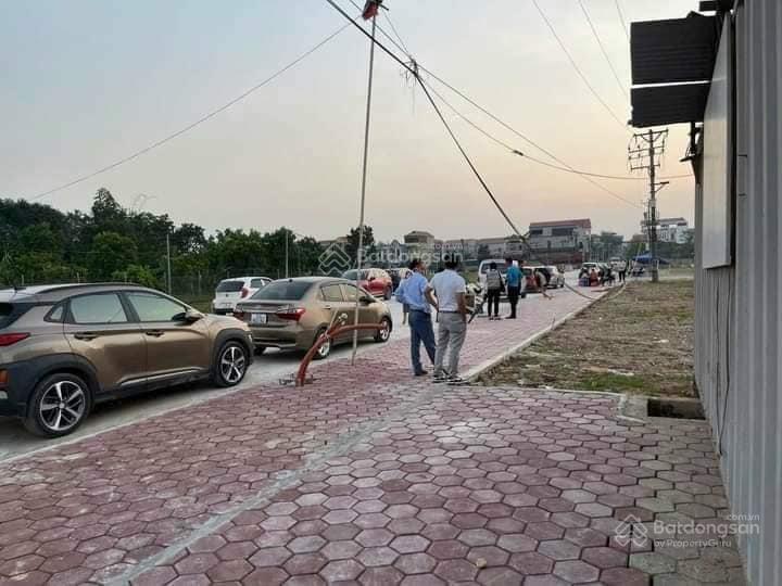 Hot đấu giá bạch đa  kim hoa  mê linh ngay cạnh đường vành đai 4 chỉ từ 4x 1 lô