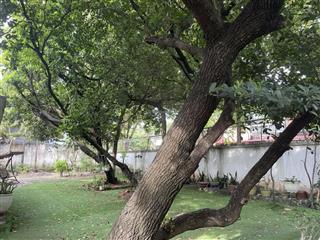 Bán biệt thự cổ mặt tiền trung tâm thủ đức, p. bình thọ, diện tích 1600m2, ngang 33m, giá 130 tỷ