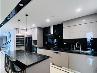 Cho thuê penthouse đẹp nhất tại chung cư tsg lotus sài đồng, diện tích 306m2