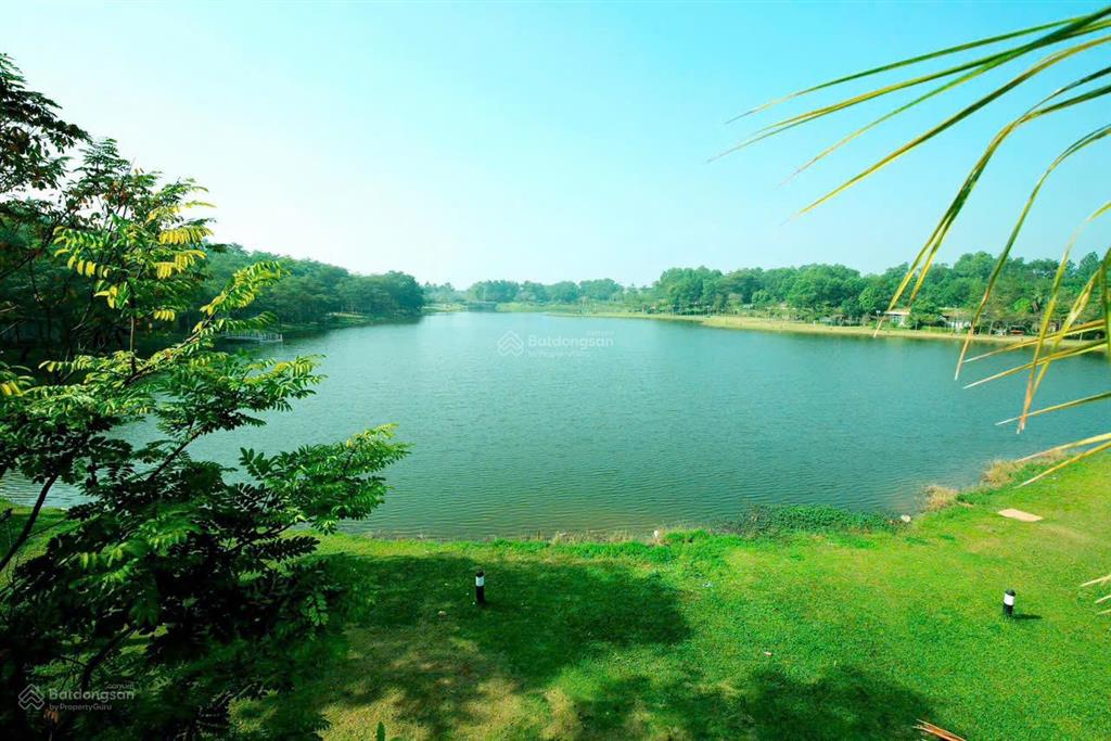 Chỉ vài triệu /m2 lô đất góc 4477m2 tại ngọc thanh, phúc yên, vĩnh phúc. cạnh bên flamigo đại lải