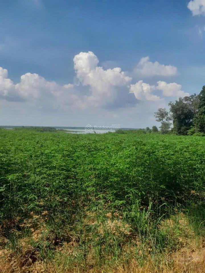 Cần bán gấp, view mặt hồ dầu tiếng, dt 141.832.2m2 (14ha), đạng định giá 60 tỷ, hiện bán 44tỷ/tl