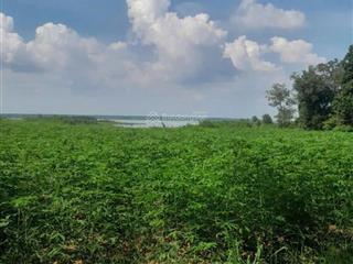 Cần bán gấp, view mặt hồ dầu tiếng, dt 141.832.2m2 (14ha), đạng định giá 60 tỷ, hiện bán 44tỷ/tl