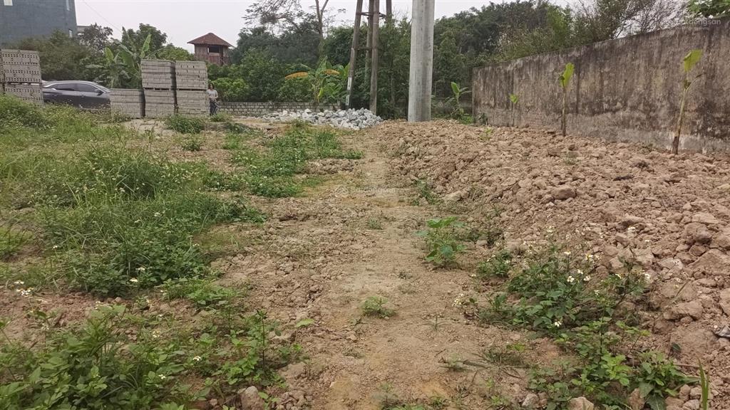 Bán đất đấu giá tại giai phạm, yên mỹ, hưng yên, 63 triệu/m2, 112.5m2, view đẹp