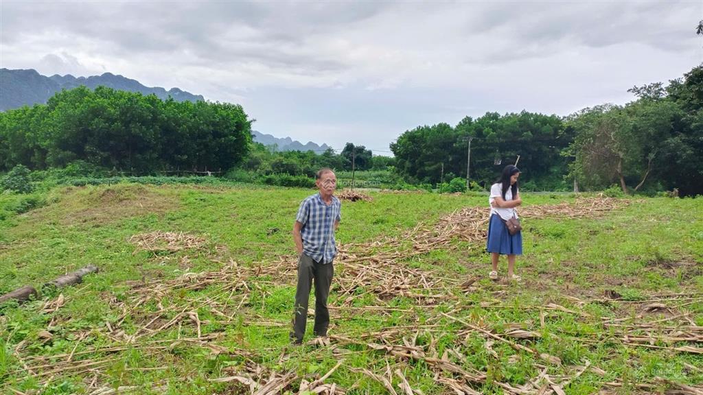 Bán trang trại đẹp tại khoan dụ, lạc thủy, hòa bình, 3,850 tỷ, 1976m2