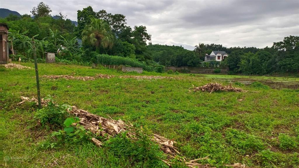 Bán trang trại đẹp tại khoan dụ, lạc thủy, hòa bình, 3,850 tỷ, 1976m2