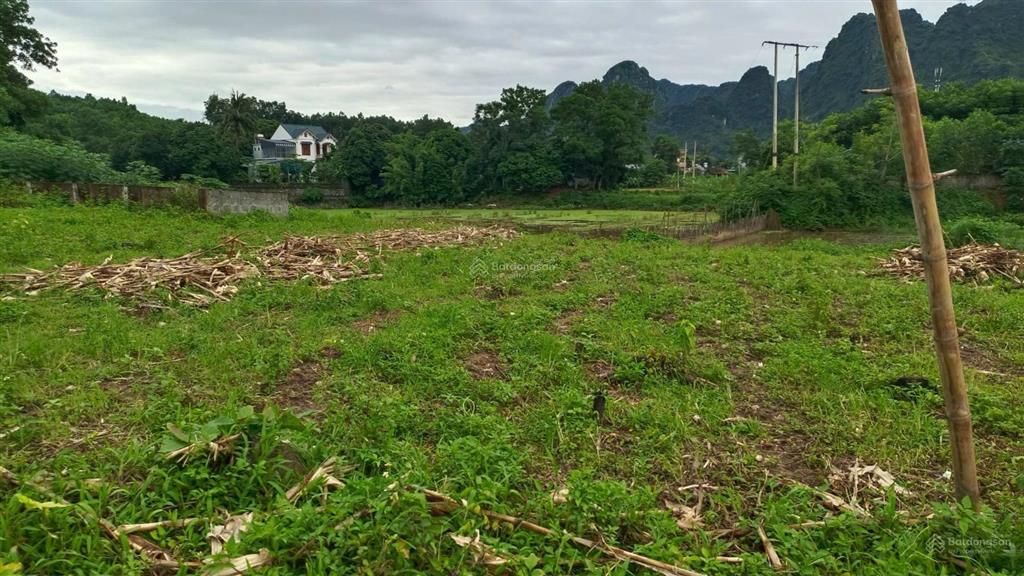 Bán trang trại đẹp tại khoan dụ, lạc thủy, hòa bình, 3,850 tỷ, 1976m2