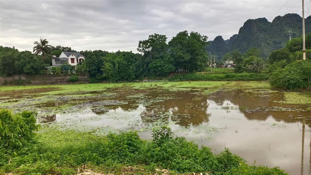 Bán trang trại đẹp tại khoan dụ, lạc thủy, hòa bình, 3,850 tỷ, 1976m2