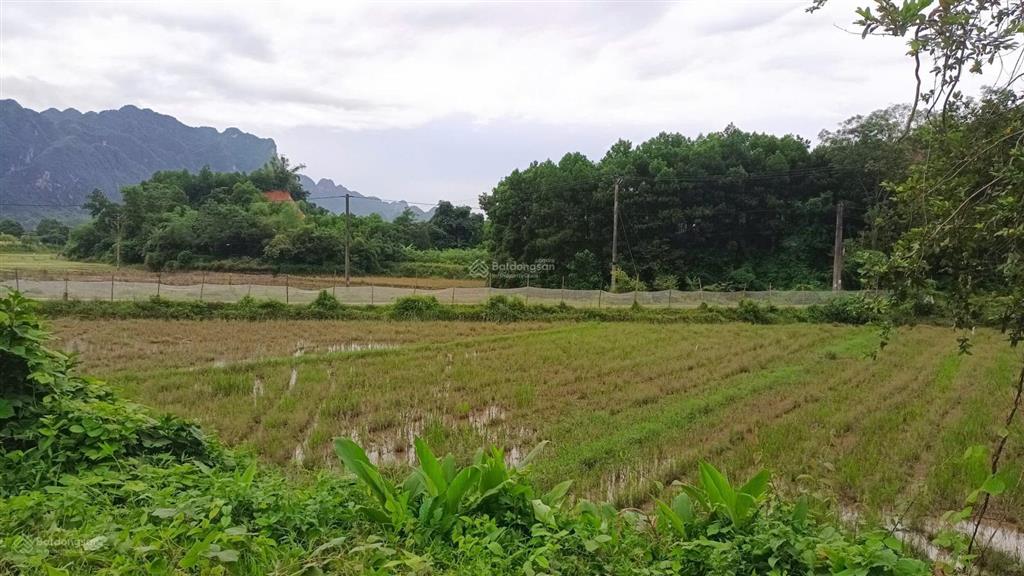 Bán trang trại đẹp tại khoan dụ, lạc thủy, hòa bình, 3,850 tỷ, 1976m2