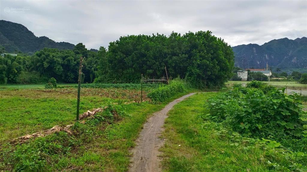 Bán trang trại đẹp tại khoan dụ, lạc thủy, hòa bình, 3,850 tỷ, 1976m2