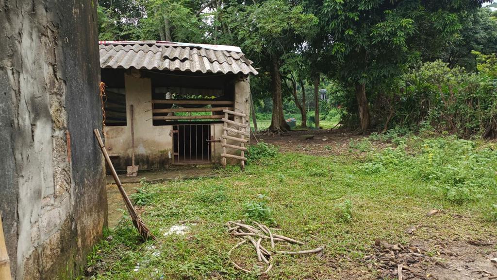 Bán trang trại đẹp tại khoan dụ, lạc thủy, hòa bình, 3,850 tỷ, 1976m2