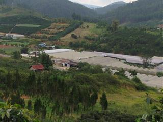 Cần bán gấp đất vườn giá tốt thôn 2 xã đasar