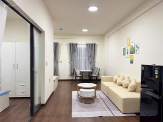 Cho thuê căn hộ chung cư ehomesouthgate tại khu đô thị waterpoint an thạnh bến lức  giá rẻ
