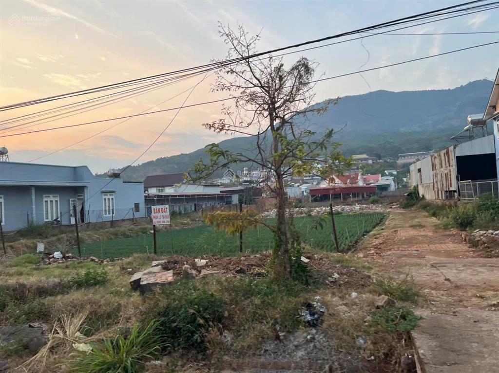 Giảm hẳn 2 tỷ! cần bán đất mt kinh doanh quốc lộ 20 hiệp an, gần chùa quán thế âm, 227m2 giá 6.2 tỷ