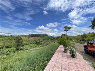 Chính chủ bán lô đất villa 1001m2 có 2 mặt tiền đường nhựa trước sau tại phường 1, chỉ 3 tỷ