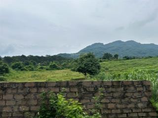 Mở bá lô đất siêu vip tại thôn dy ba vì nằm tại khu trung tâm các khu nghỉ dưỡng.