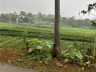 Đất nghỉ dưỡng ba vì thoáng mát view cực đẹp