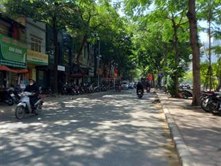 Hiếm lô góc 1118m2 đất, mặt phố vũ tông phan, mt 12m, kinh doanh, dòng tiền 1.5 tỷ/năm, chỉ 219 tỷ