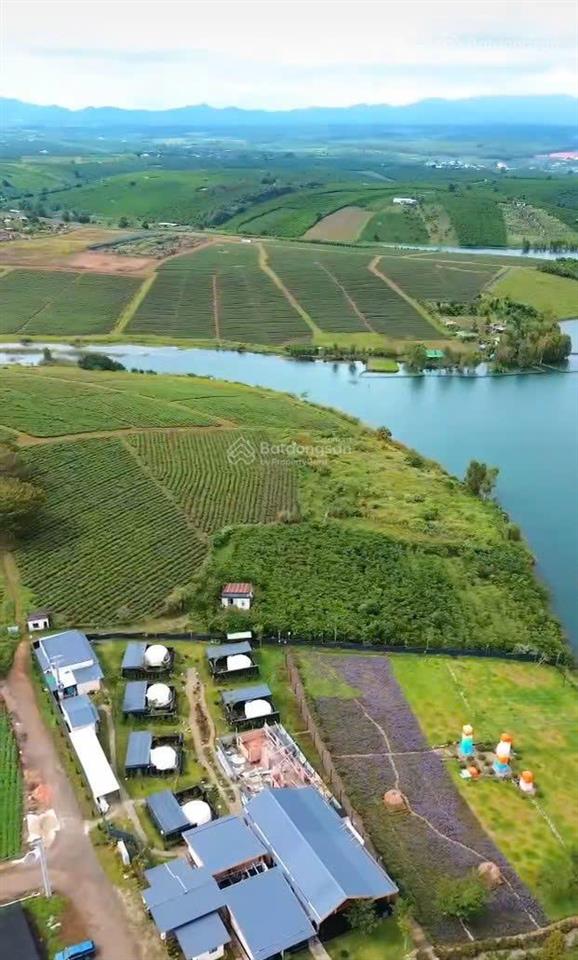 Tôi có miếng đất không dùng đến bán rẻ hơn gần nửa giá lấy tiền mua nhà cho con học trường quốc tế